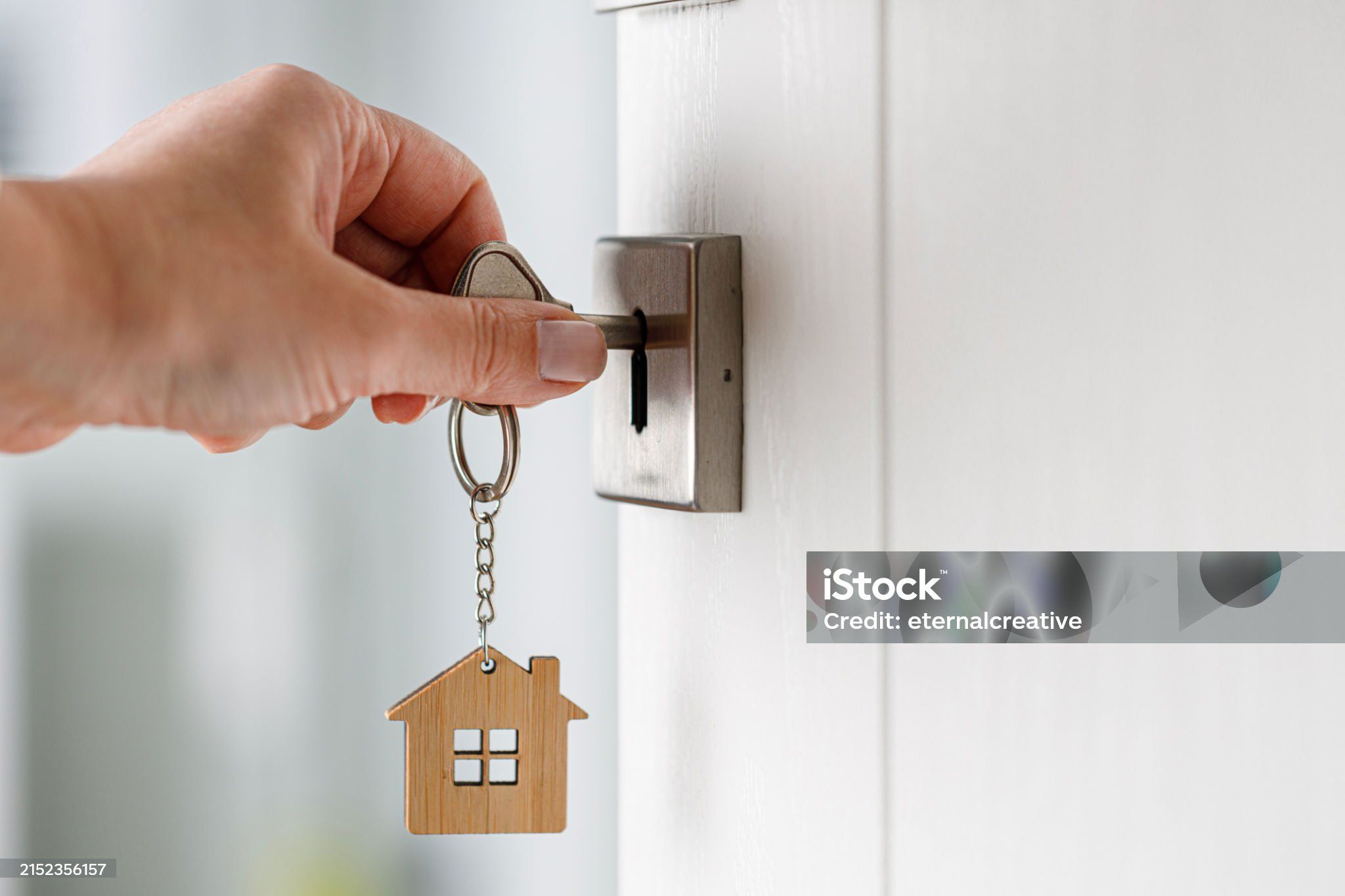 Alt text for image 1